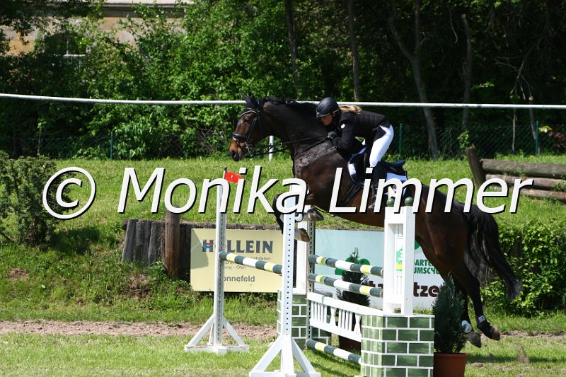 005M5417_Elvis_L Springen.JPG